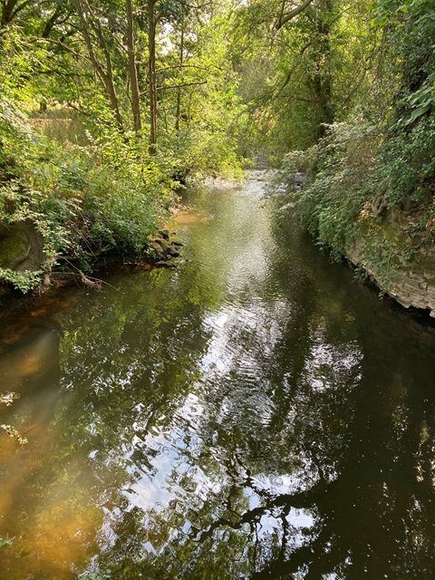 River Alne